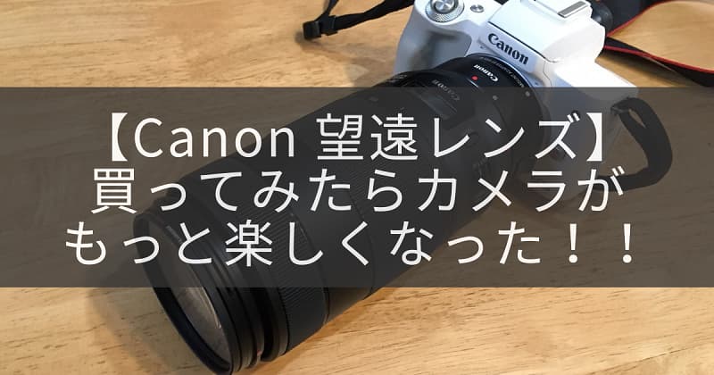 Canon】初心者が望遠レンズを買ったら、カメラがもっと楽しくなった 