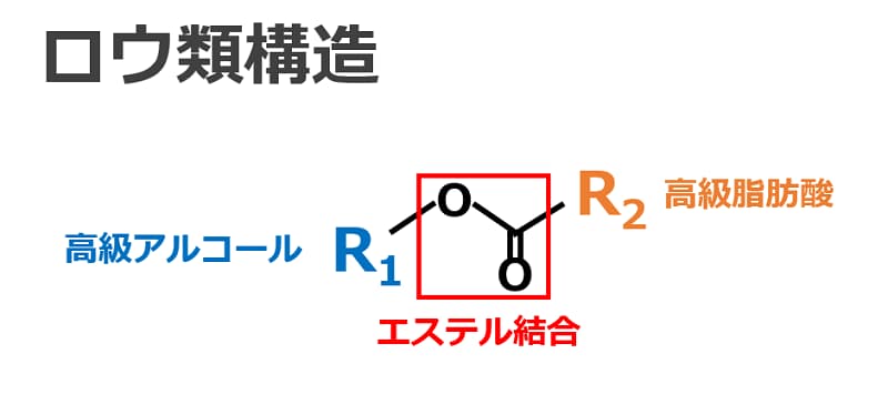 【元化粧品開発者が解説】化粧品の保湿成分とは?-オイル編- | アラサライフ -Arasalife-