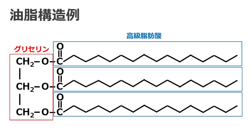 【元化粧品開発者が解説】化粧品の保湿成分とは?-オイル編- | アラサライフ -Arasalife-