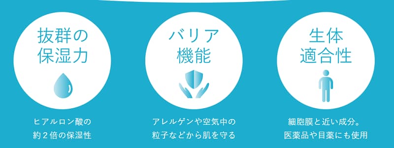 リピジュアの機能