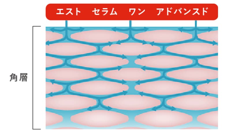 セラムワン角層浸透