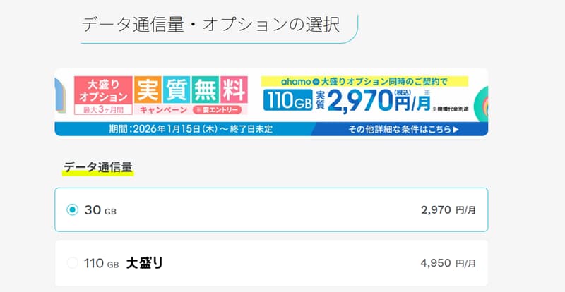 データオプション選択