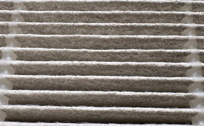 フィルター拡大