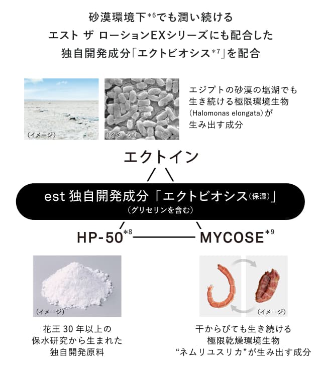 エクトビオシス
